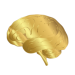 Chiropractor and Hypnotist in Mt. Kisco NY Westchester 2 gold brain icon