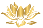 lotus flower lotus flower